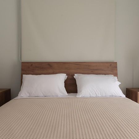 Vasilopoulos Residences - Apartments Ioni & Neso 阿尔戈斯托利翁 外观 照片