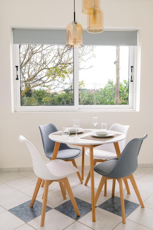 Vasilopoulos Residences - Apartments Ioni & Neso 阿尔戈斯托利翁 外观 照片
